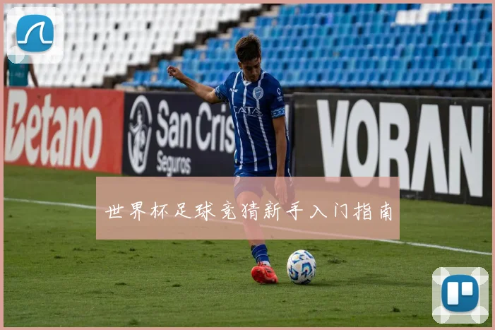 世界杯足球竞猜新手入门指南