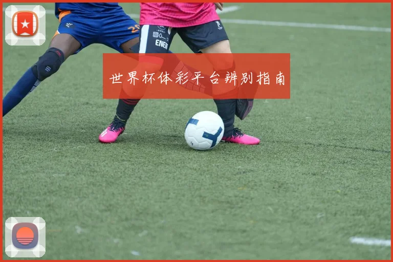世界杯体彩平台辨别指南