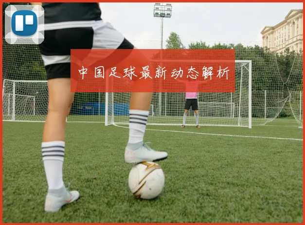 中国足球最新动态解析